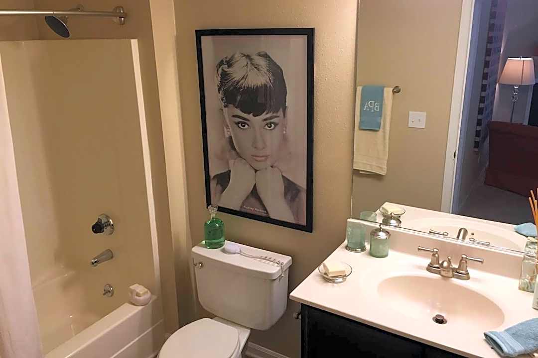 briarleigh park 401 park ridge ln winston salem nc apartments for rent rent com