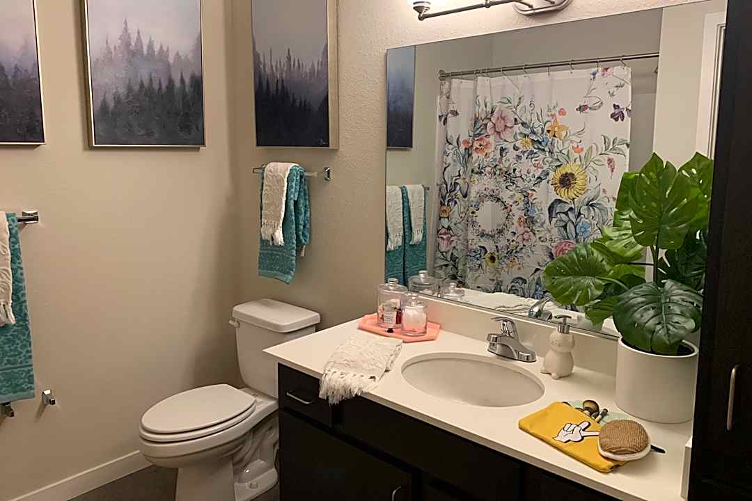 stadium apartments per bed lease 821 west lake street fort collins co apartments for rent rent com