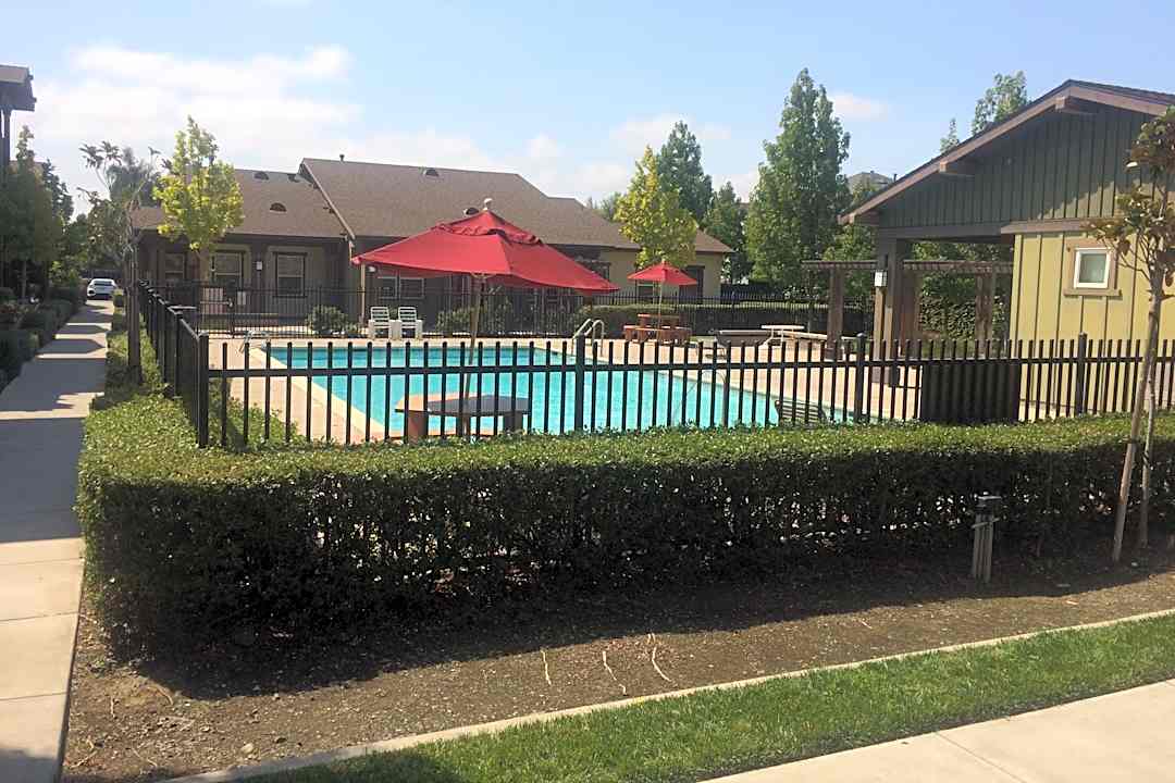 cotton creek apartments