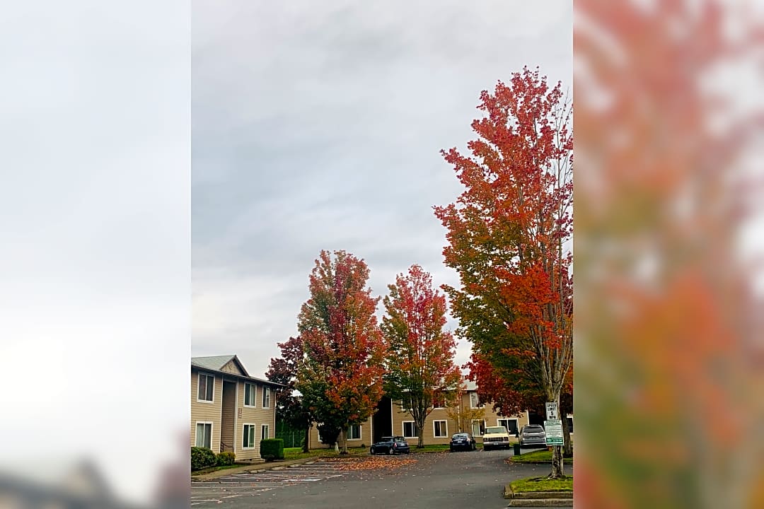 The Orchards - 450 S Pine St | Canby, OR Apartments for Rent | Rent.