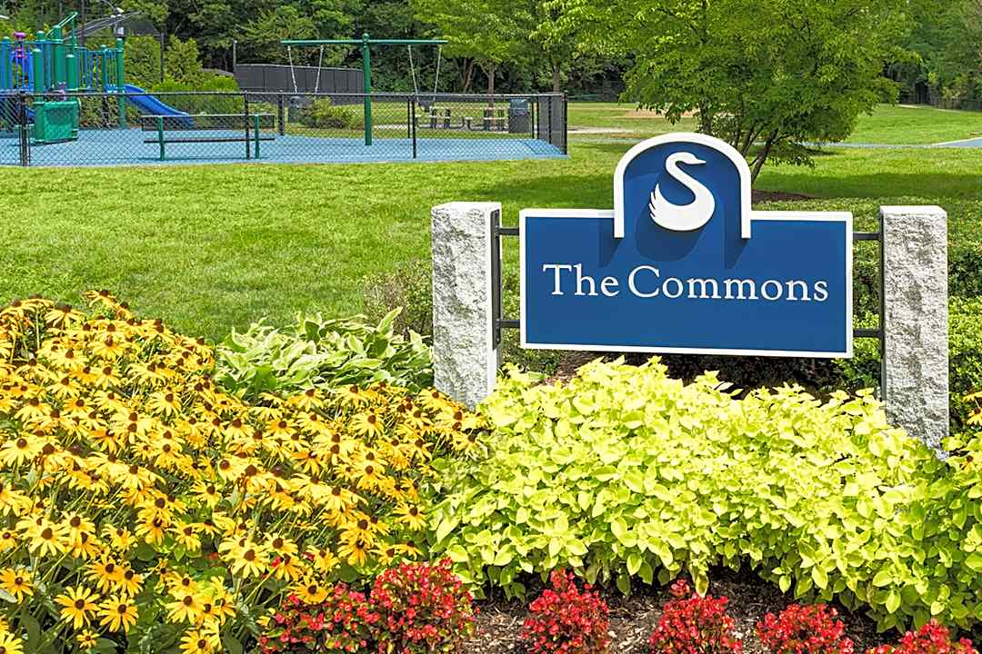 Stony Brook Commons 390 Blue Ledge Dr Roslindale Ma Apartments For Rent Rent Com