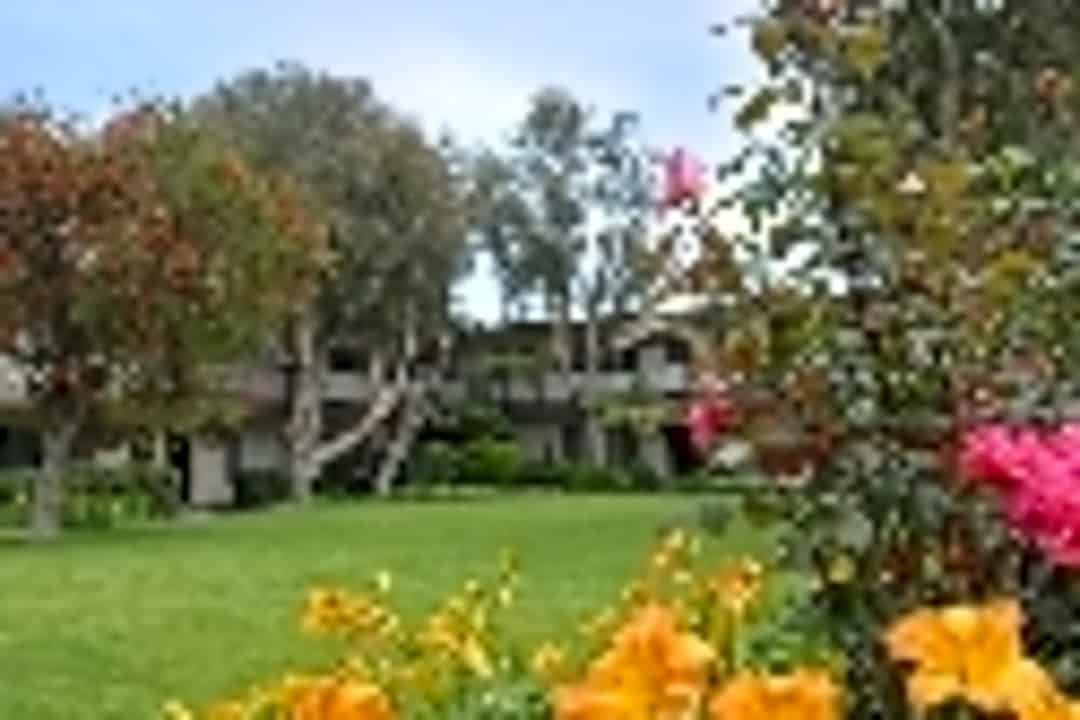 Rancho Monterey Apartments 13212 Magnolia St Garden Grove Ca Apartments For Rent Rent Com