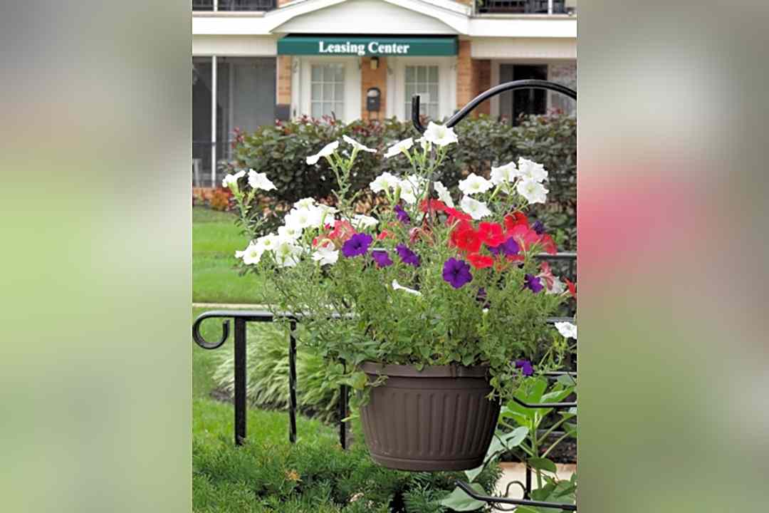 Green Valley 200 Grant Ave Somerdale Nj Apartments For Rent Rent Com