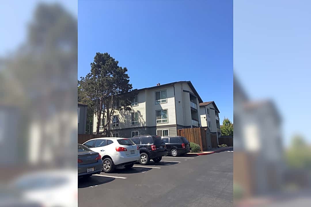 homestead park 1610 tenaka pl sunnyvale ca apartments for rent rent com