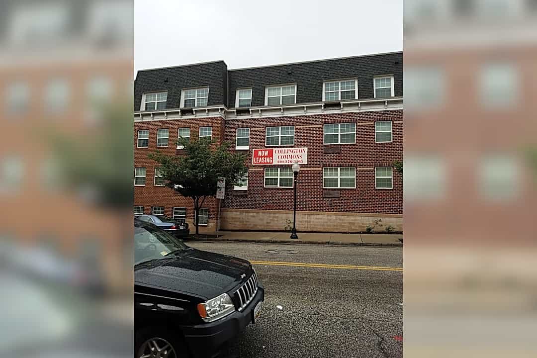 collington commons apartments 2200 e biddle st baltimore md apartments for rent rent com