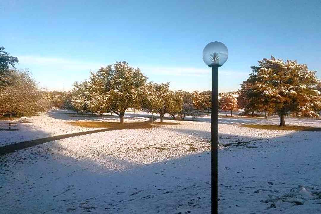 Acadia 4031 Thousand Oaks Dr San Antonio Tx Apartments For Rent Rent Com