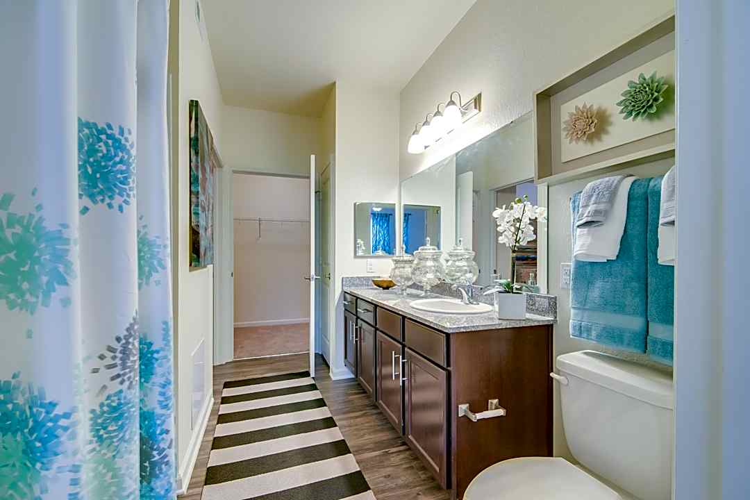 Apalachee Point Apartments 1405 Southwood Plantation Rd Tallahassee Fl Apartments For Rent Rent Com