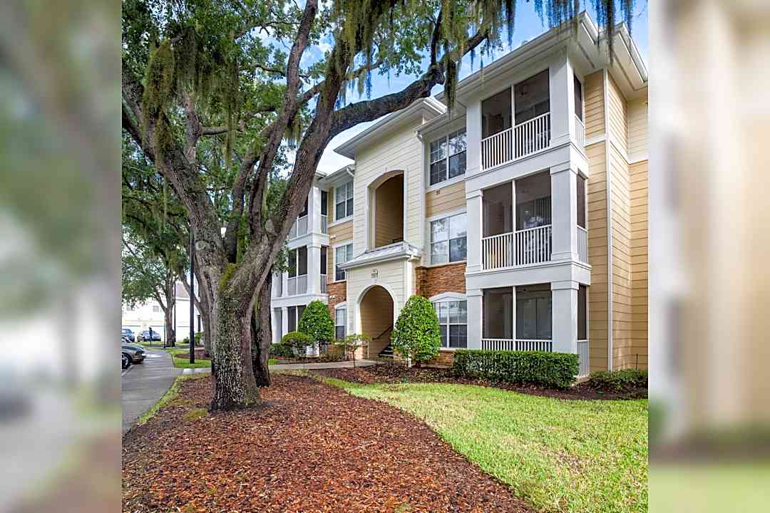 luxe at 1820 1820 crosstown club place tampa fl apartments for rent rent com