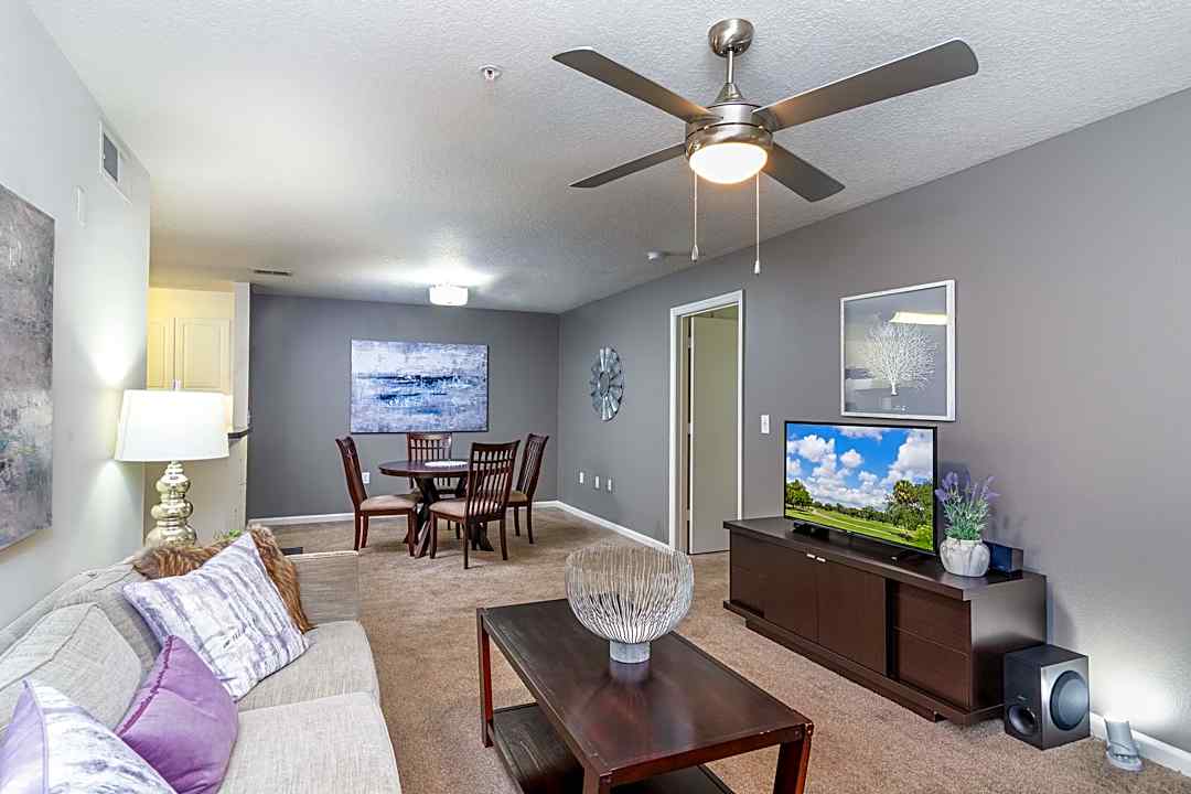 49 Creative Apartment express tampa fl for Design Ideas