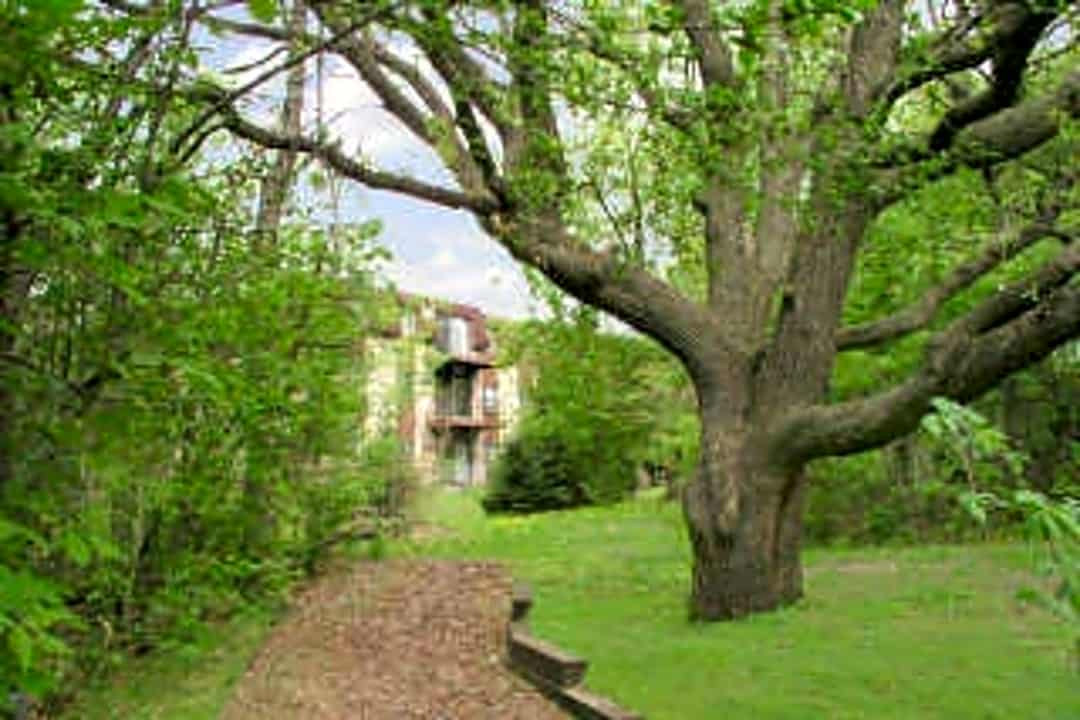 Amberwood Place Apartments 1430 York Ave Saint Paul Mn Apartments For Rent Rent Com