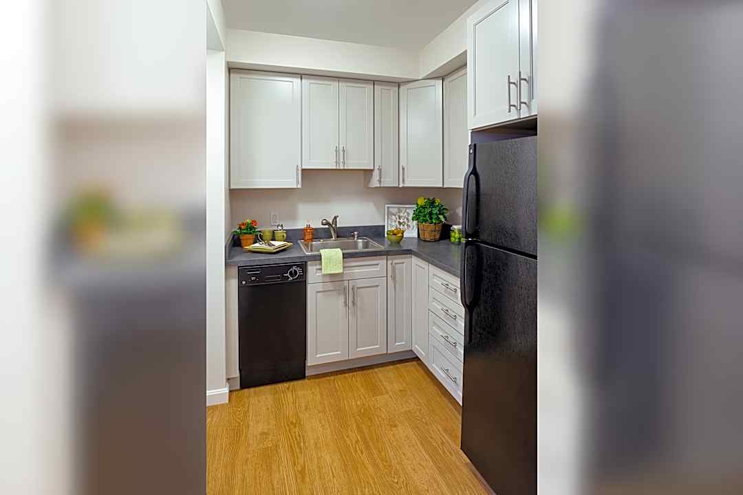 burbank apartments 18 haviland st boston ma apartments for rent rent com