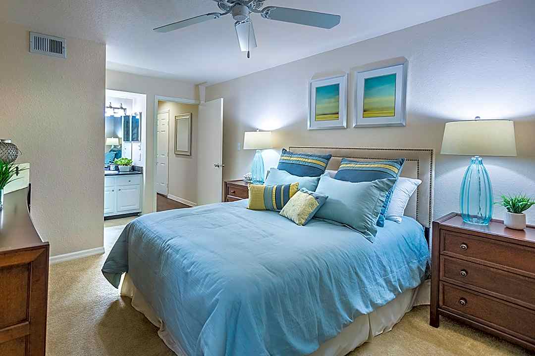 Bayside Arbors Of Clearwater 2729 Seville Blvd Clearwater Fl Apartments For Rent Rent Com