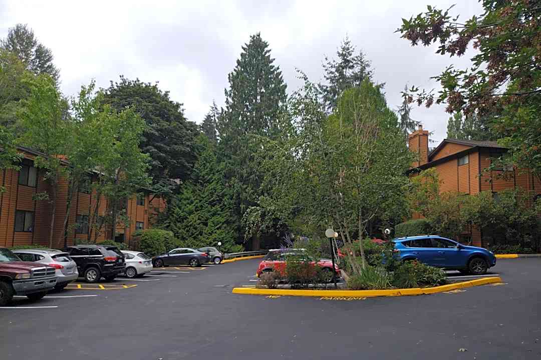 Forest Creek Apartments - 19708 15th Ave Ne Seattle Wa Apartments For Rent Rentcom