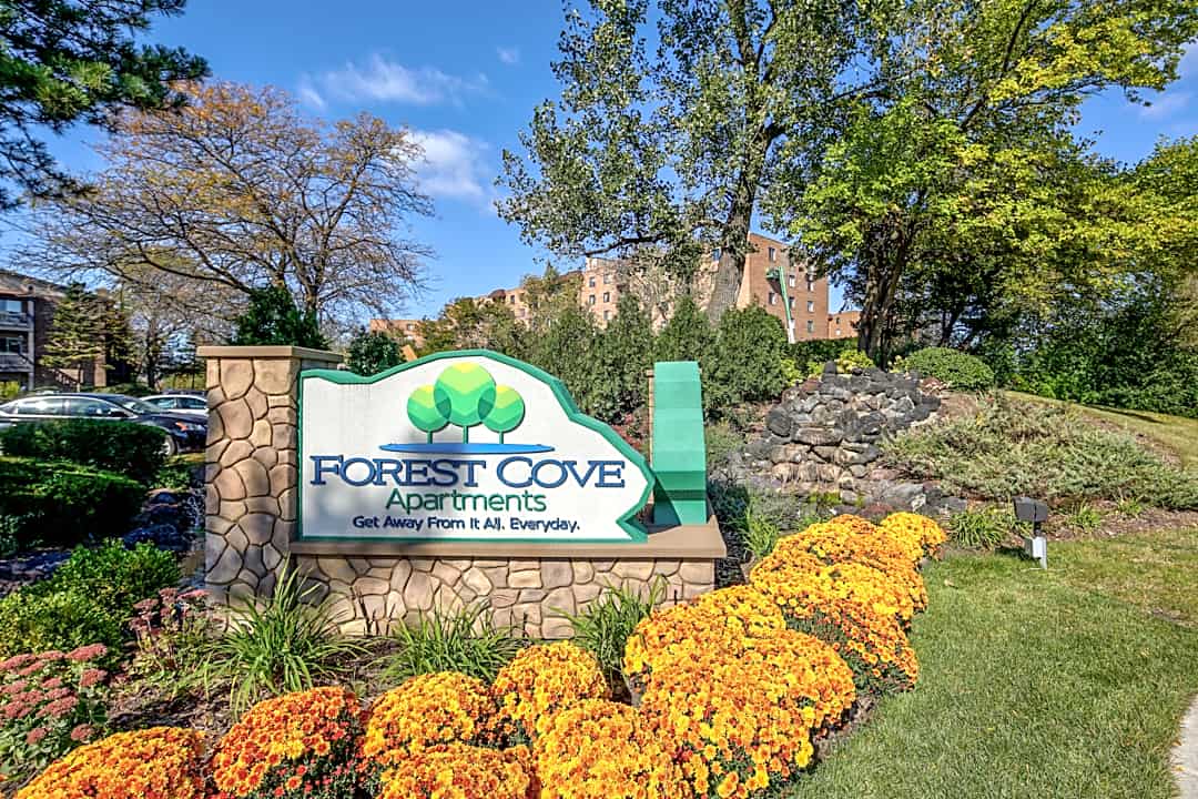 Forest Cove - 1706 Forest Cove Drive Mount Prospect Il Apartments For Rent Rentcom