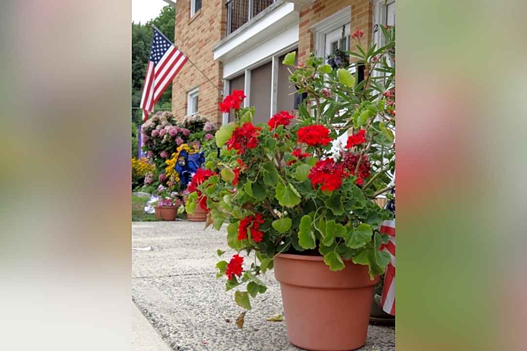 Green Valley 200 Grant Ave Somerdale Nj Apartments For Rent Rent Com