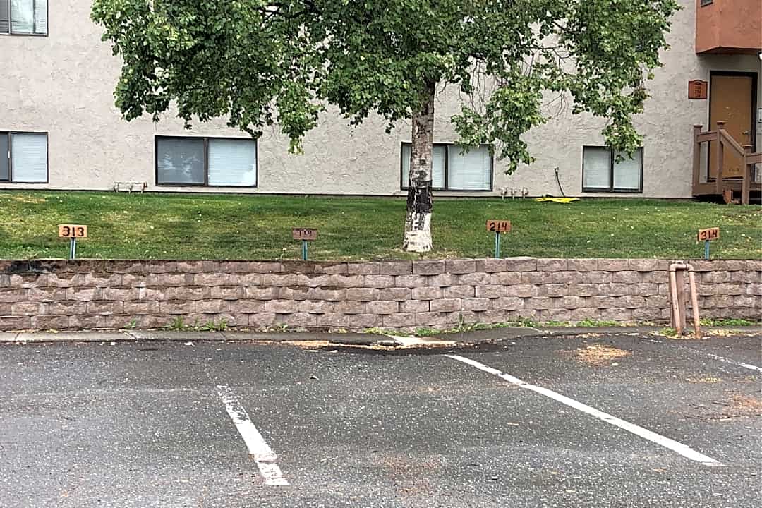Deer Park Apartment Homes - 4221 Laurel St Anchorage Ak Apartments For Rent Rentcom