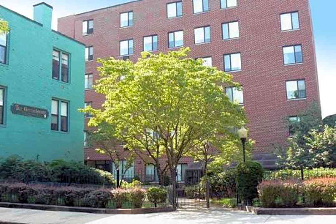 The Greenhouse Apartments 154 Pearl St Chelsea Ma Apartments For Rent Rent Com