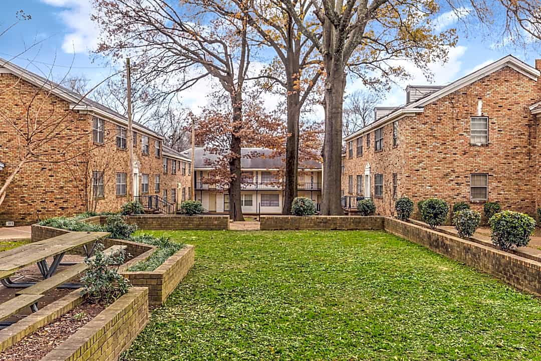 cooper young apartments 1103 cooper st 1 memphis tn apartments for rent rent com