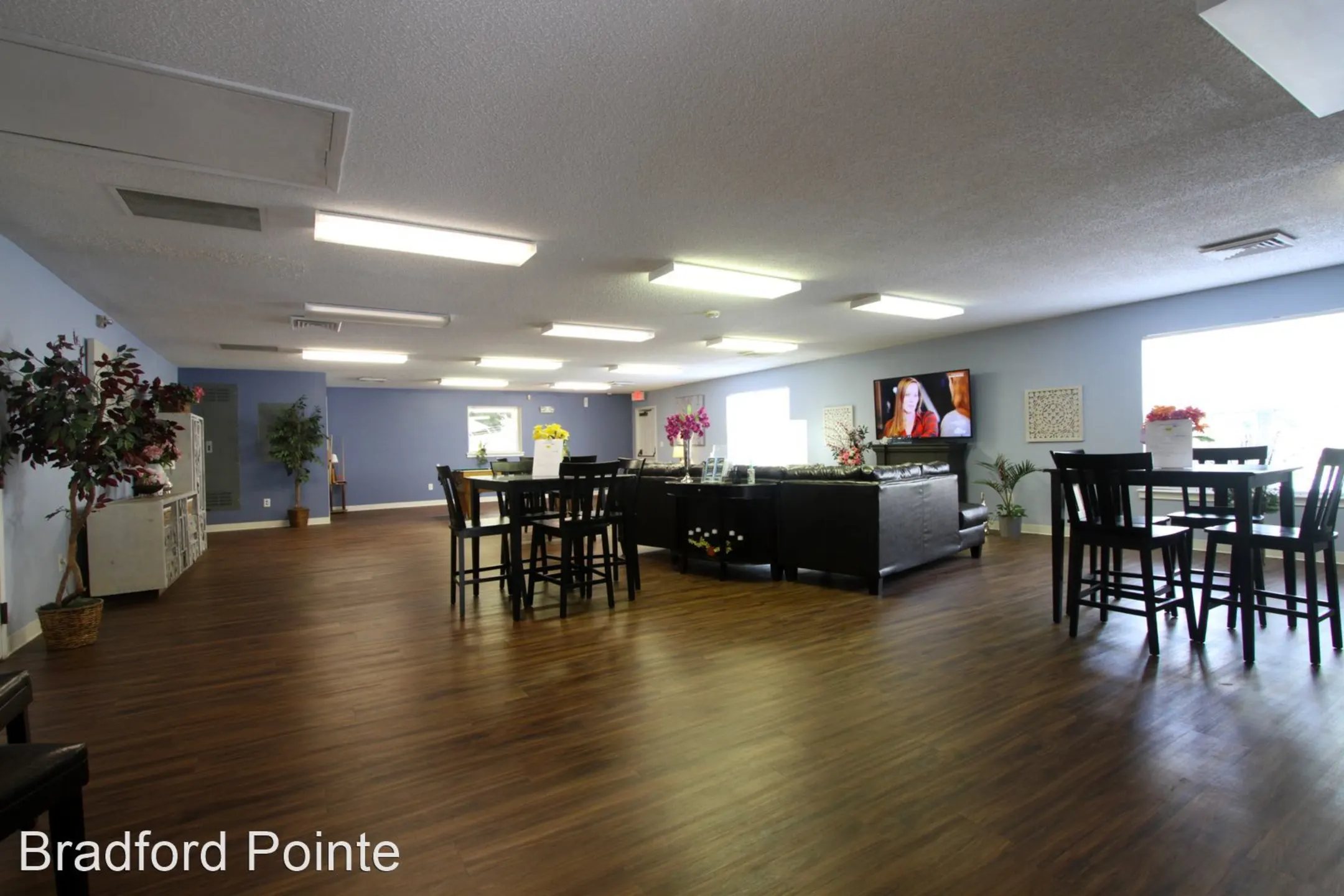 Living Room - Bradford Pointe Apartments - Evansville, IN