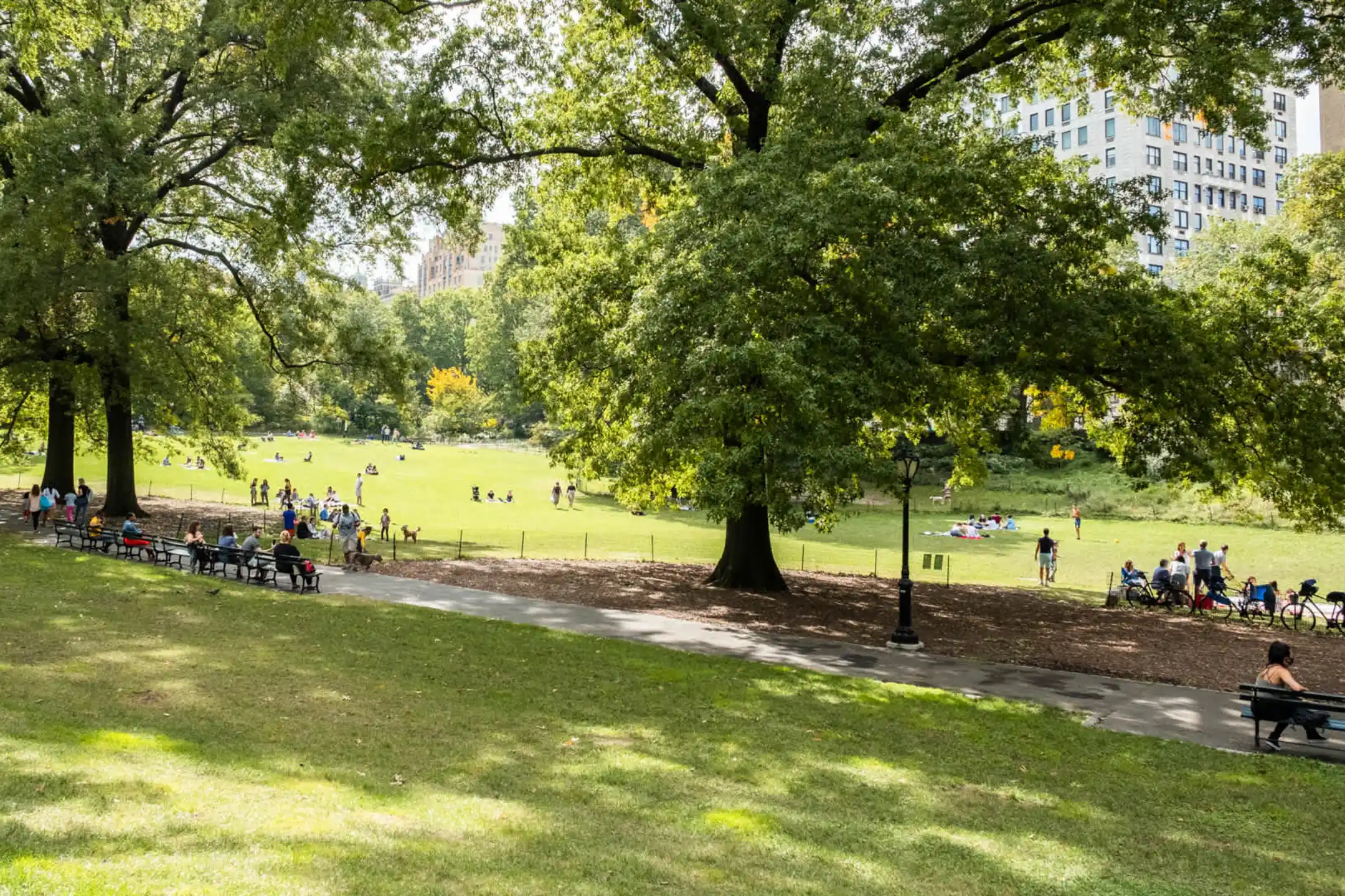 Parc Cameron Apartments New York, NY 10024