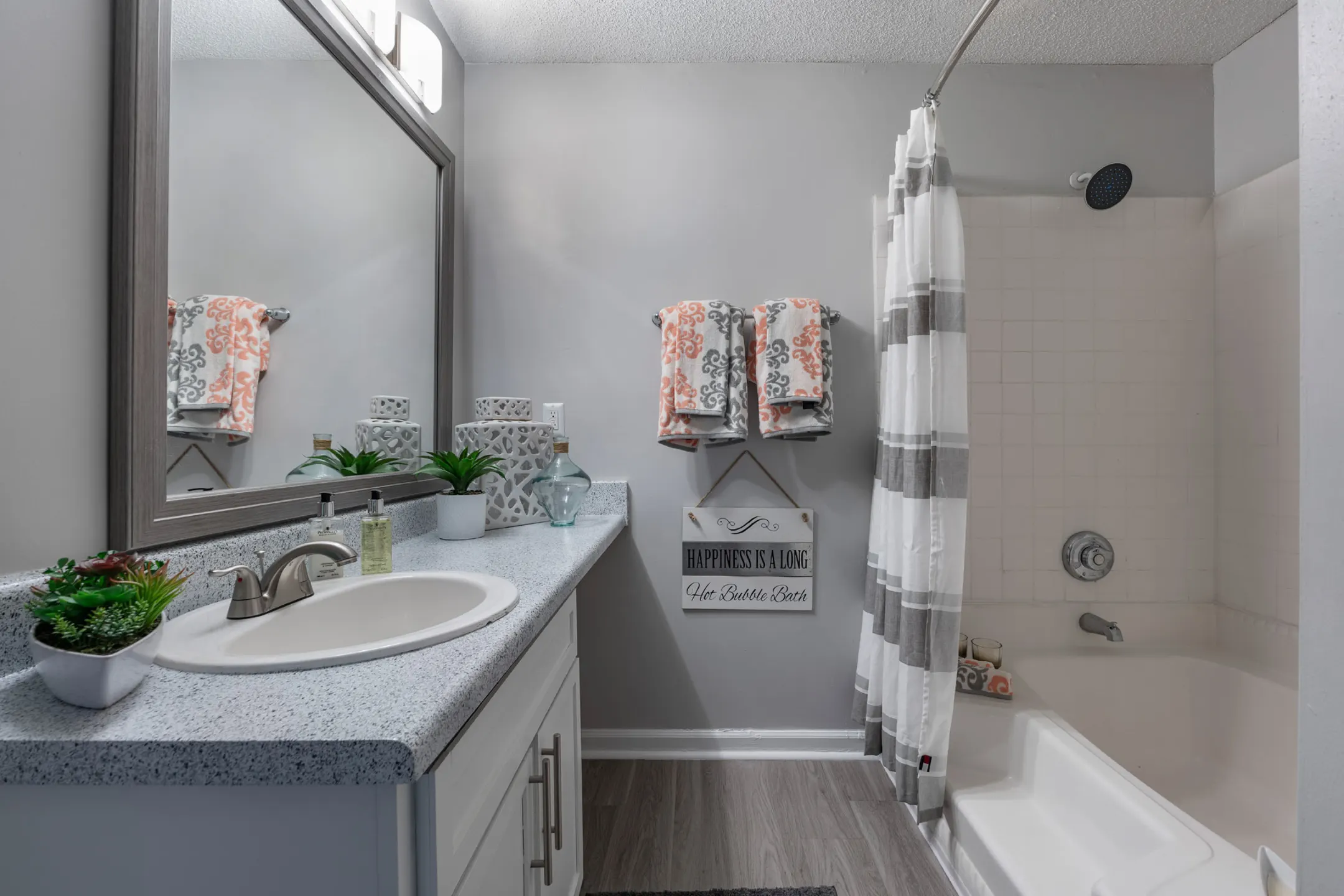 Bridgewater at Mt Zion Apartments Stockbridge, GA 30281