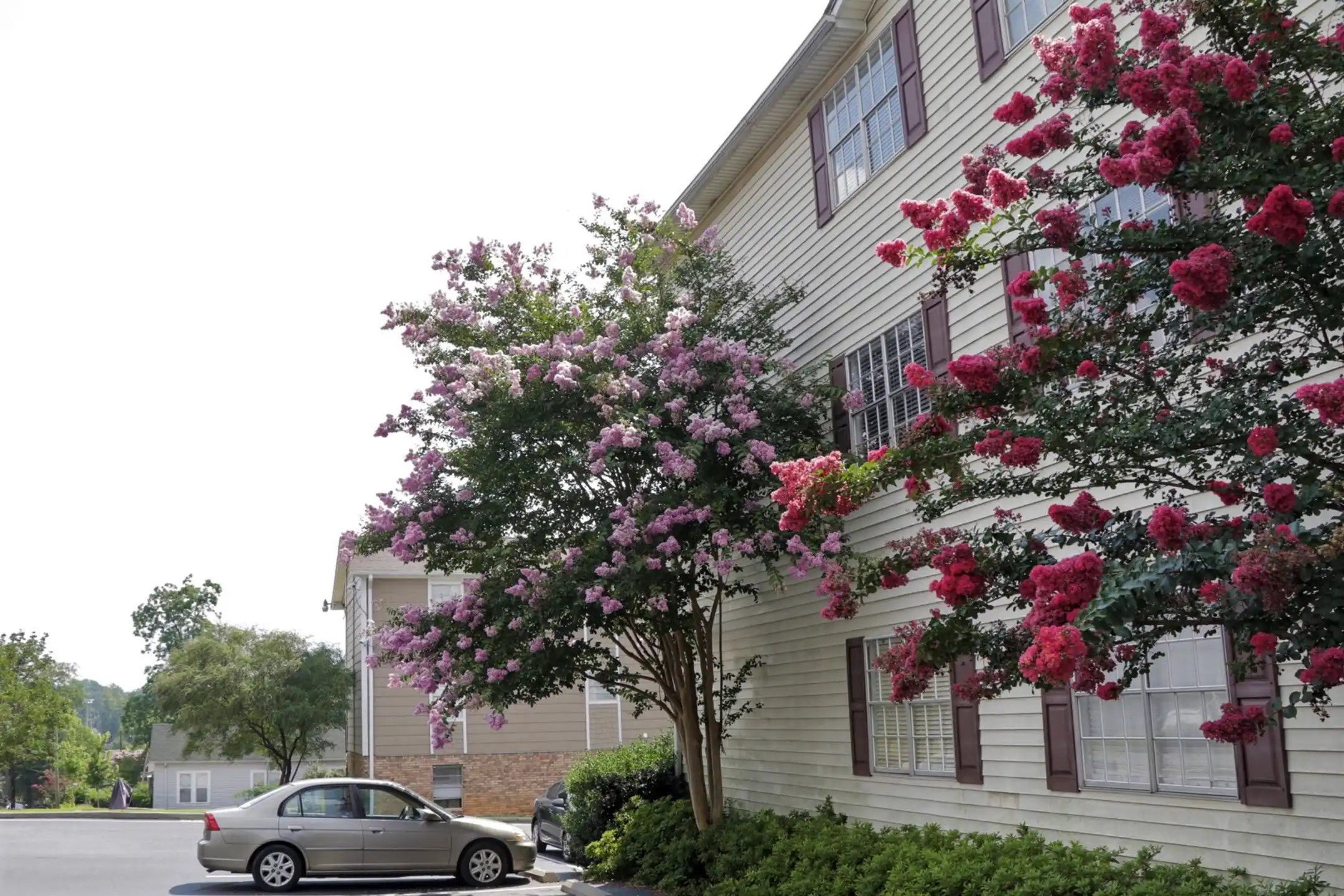 Building - Christine Court - Birmingham, AL
