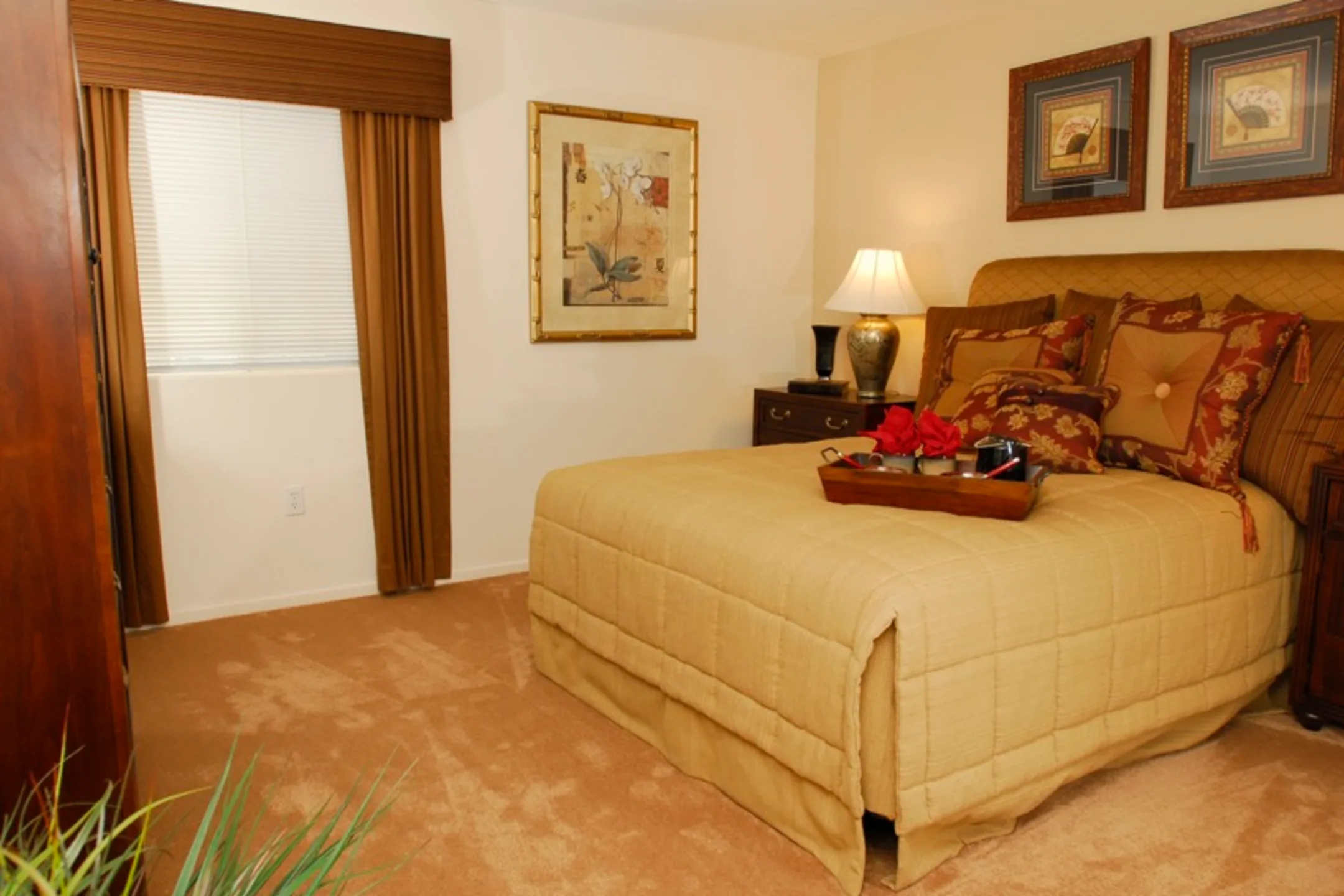 Carefree Senior Living At The Willows