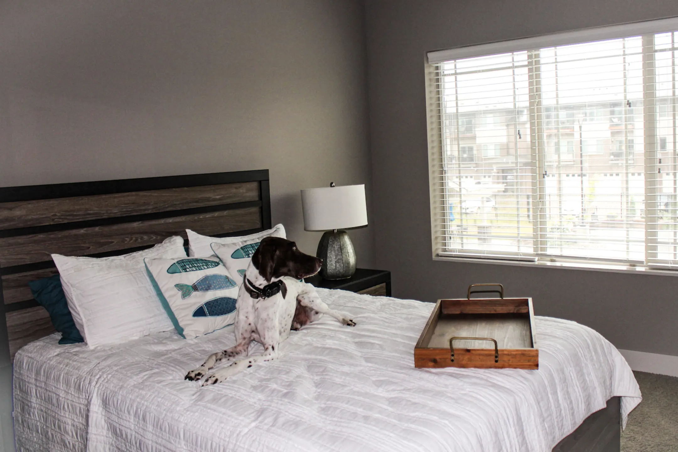 The Sterling at Prairie Trail Apartments Ankeny, IA 50021