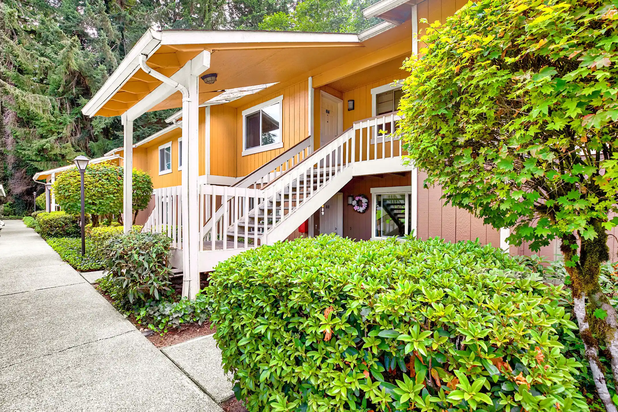 Forest Grove Apartments Apartments Lacey, WA 98503