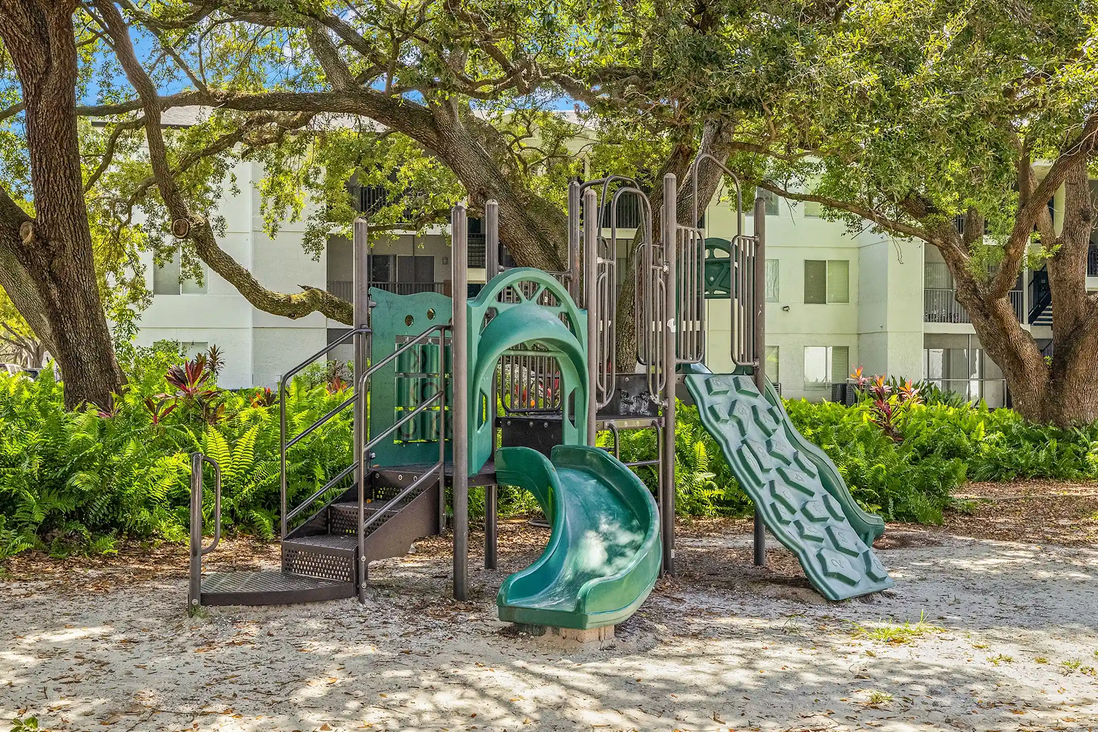 Skye Reserve Apartments Brandon, FL 33511