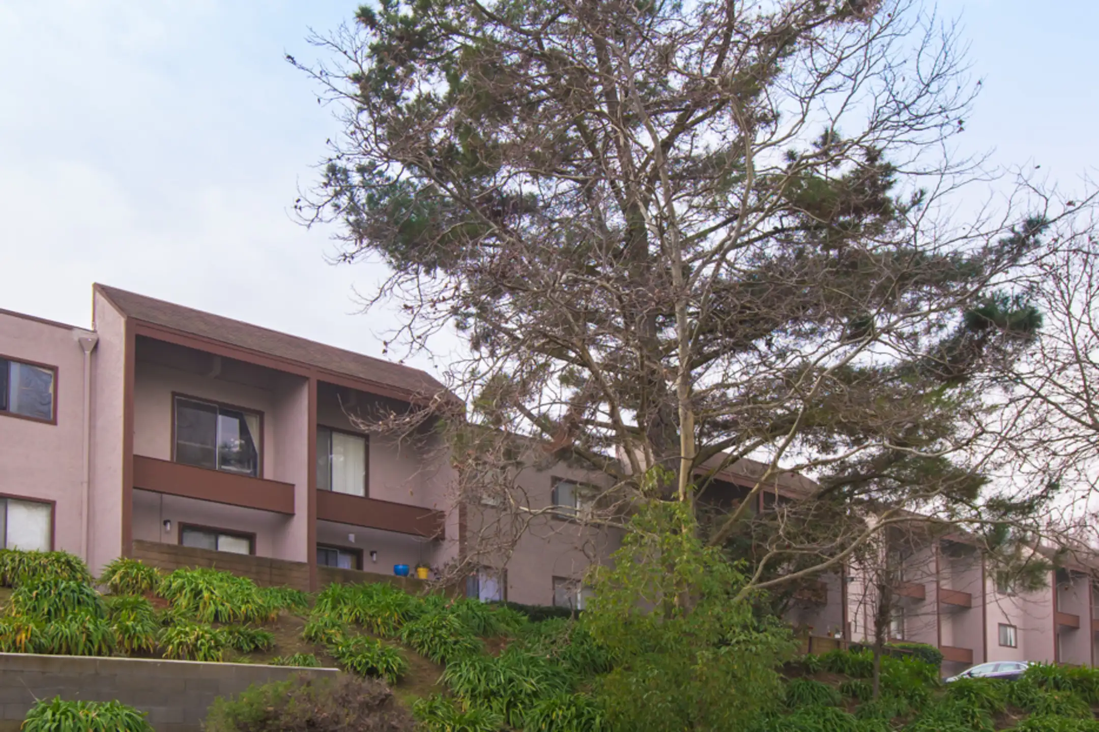 Martinez Hillside Apartments 90 F St Martinez, CA Apartments for