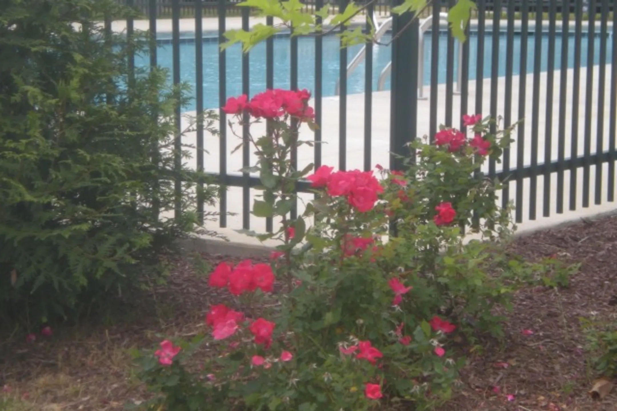 Rosewood Place Apartments 200 Redbud Street Selmer, TN Apartments