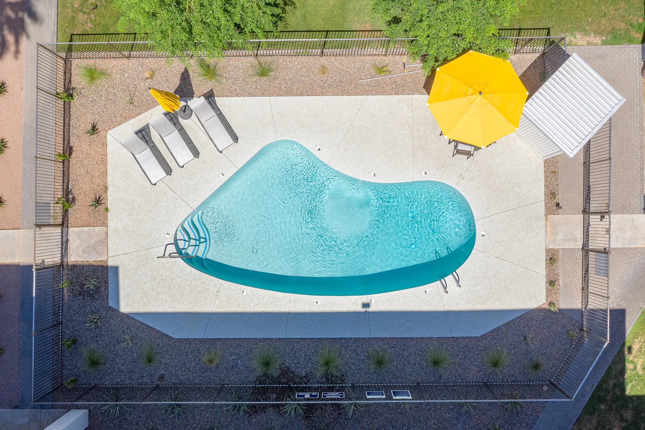 Pool - Arcadia Lofts - Phoenix, AZ