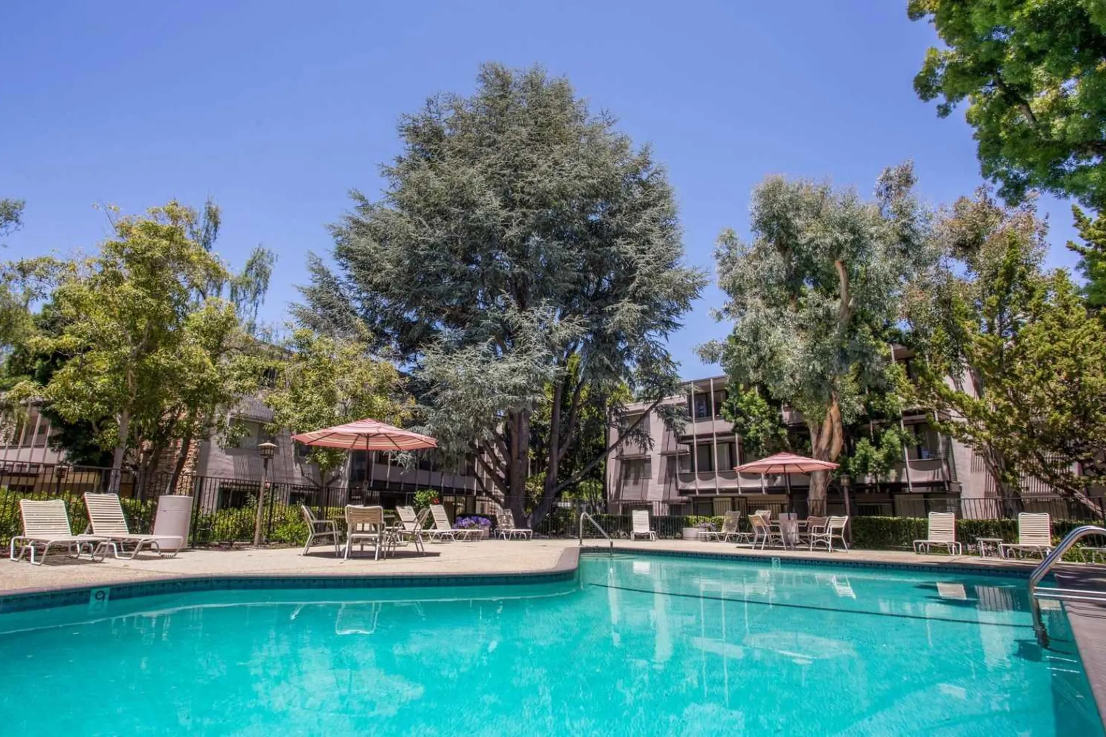 Pool - Parksquare Apartments - Palo Alto, CA