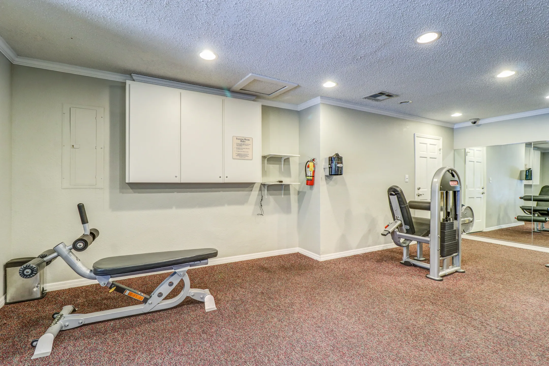 Fitness Weight Room - Baywater - Tampa, FL