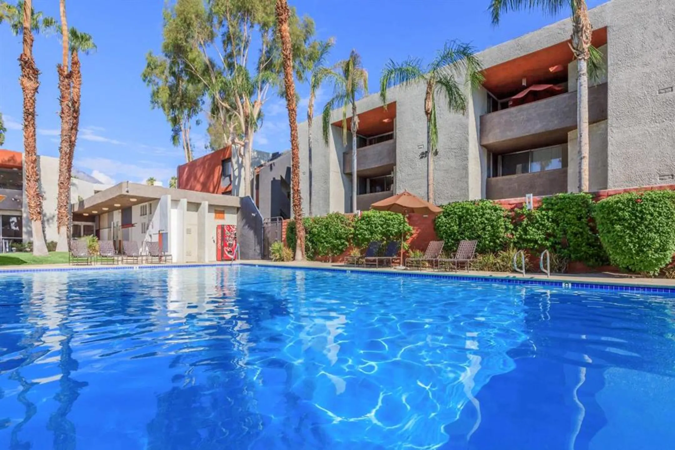 Pool - Mojave Blue - Palm Springs, CA