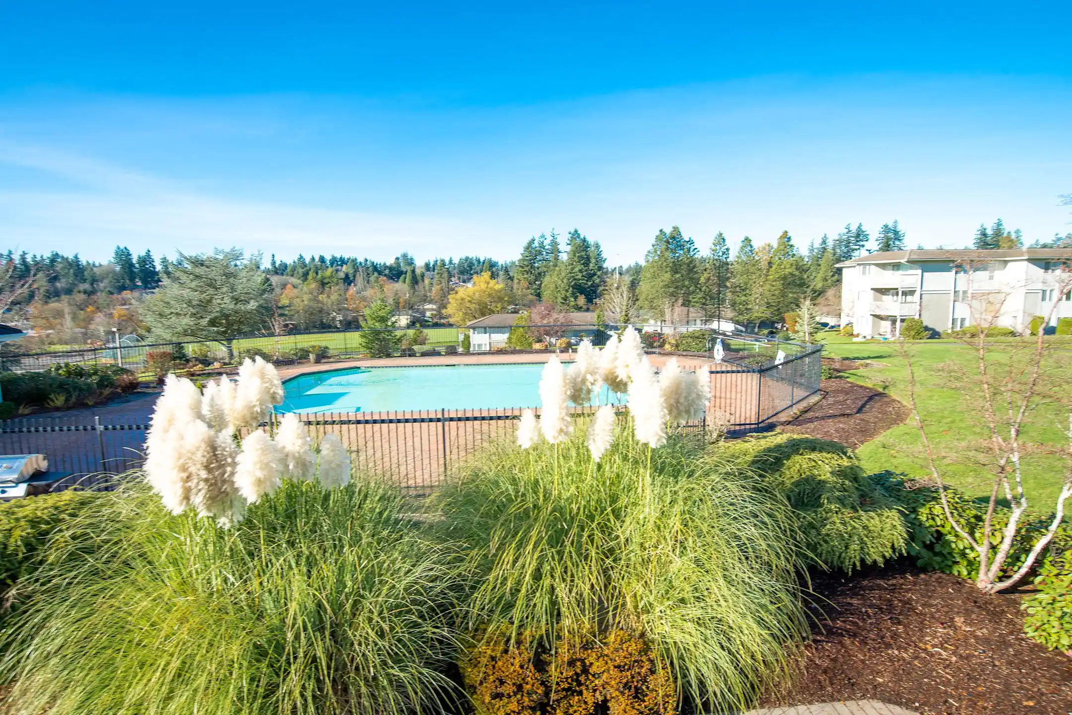 Andorra Apartments Mountlake Terrace, WA 98043