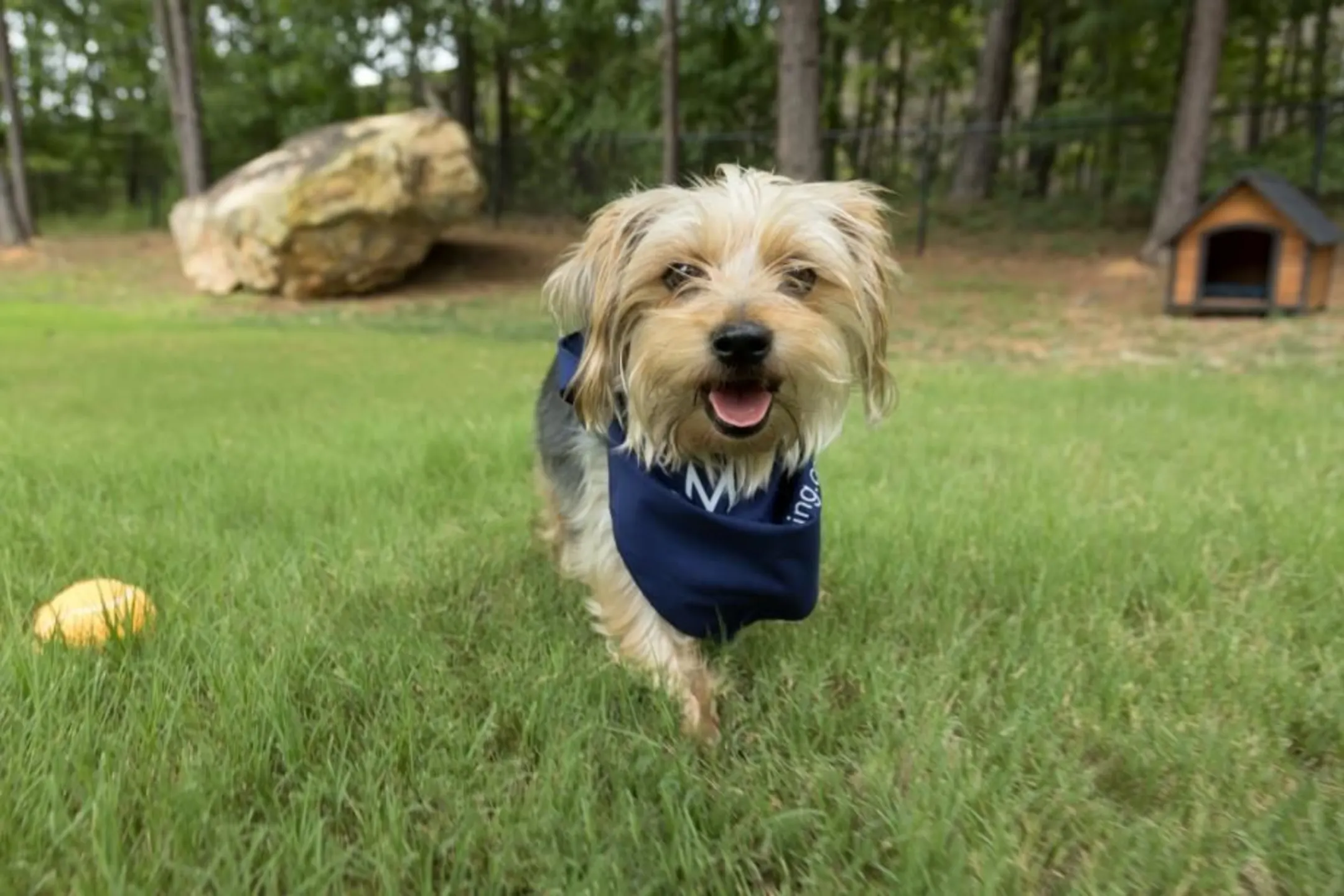 Camden Stockbridge 1000 Peridot Pkwy Stockbridge, GA Apartments for