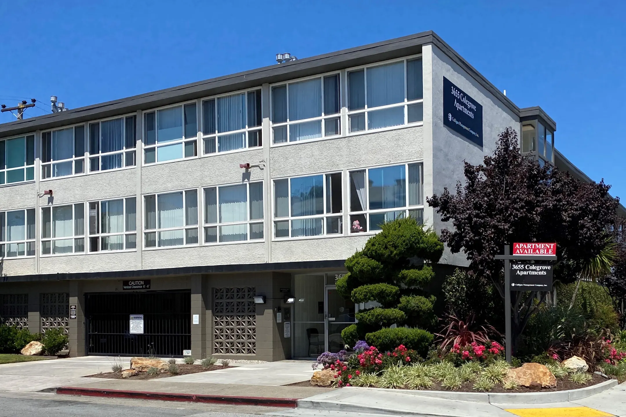 Building - 3655 Colegrove Apartments - San Mateo, CA