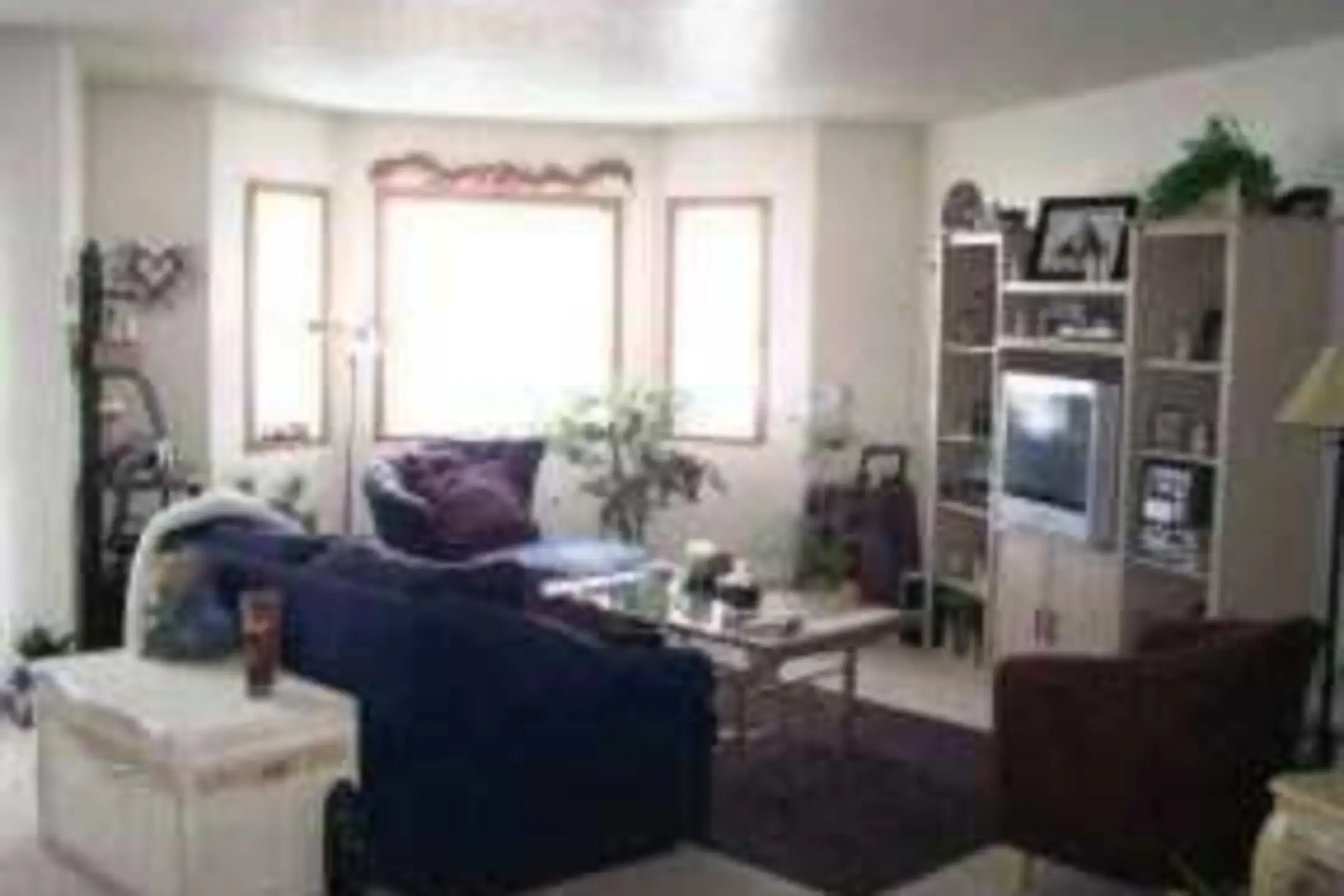 Living Room - The Woods Apartments - Fargo, ND