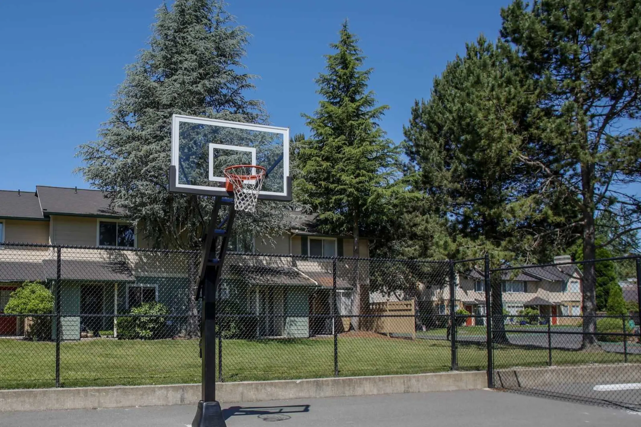 Basketball Court - Parklane Townhomes - Bothell, WA