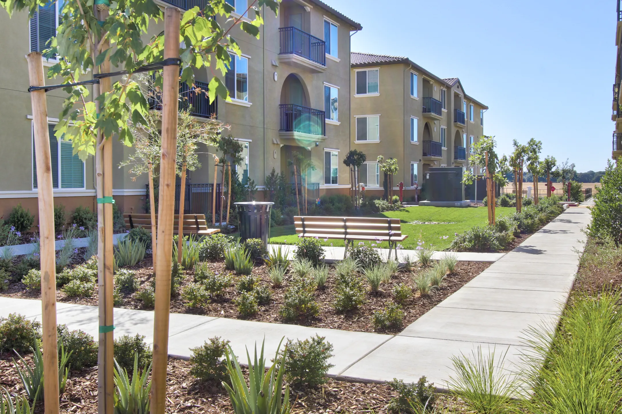 Building - Campus Oaks Apartments - Roseville, CA