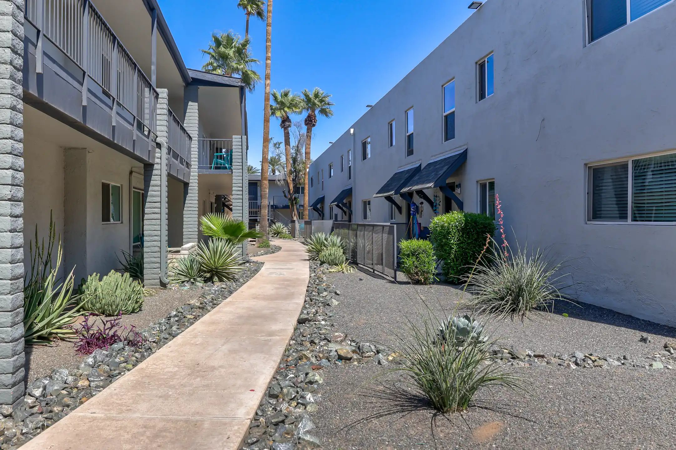 Building - Cactus Canyon - Phoenix, AZ