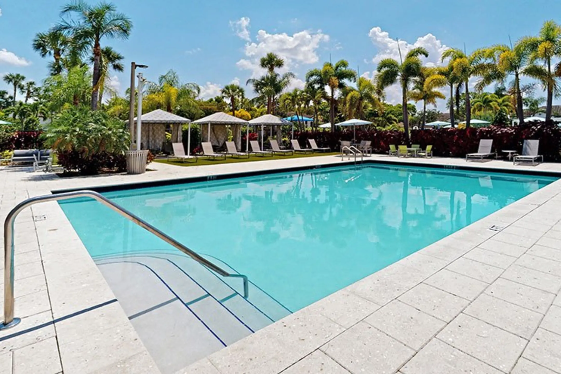 Pool - The Avant at Pembroke Pines - Pembroke Pines, FL