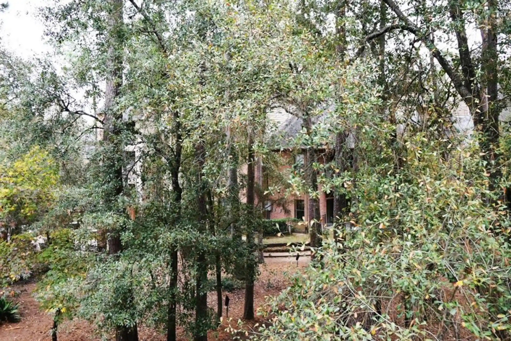 Chasewood 9717 Cypresswood Dr Houston, TX Apartments for Rent Rent.