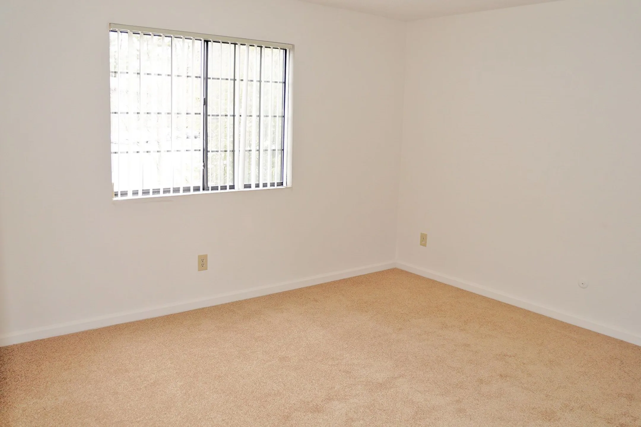 Living Room - Harmony Hills - Albany, NY