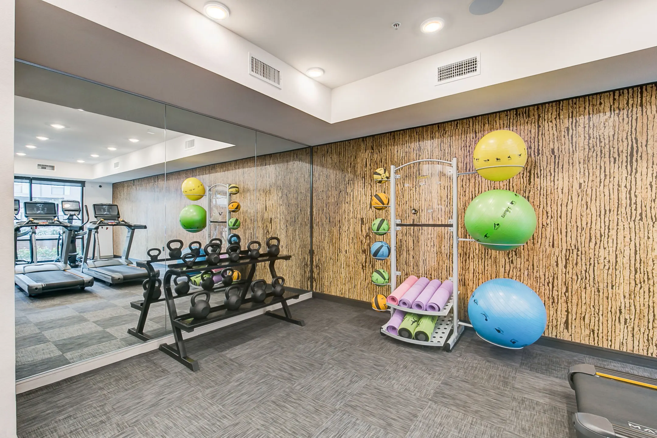 Fitness Weight Room - Factory Design District - Dallas, TX