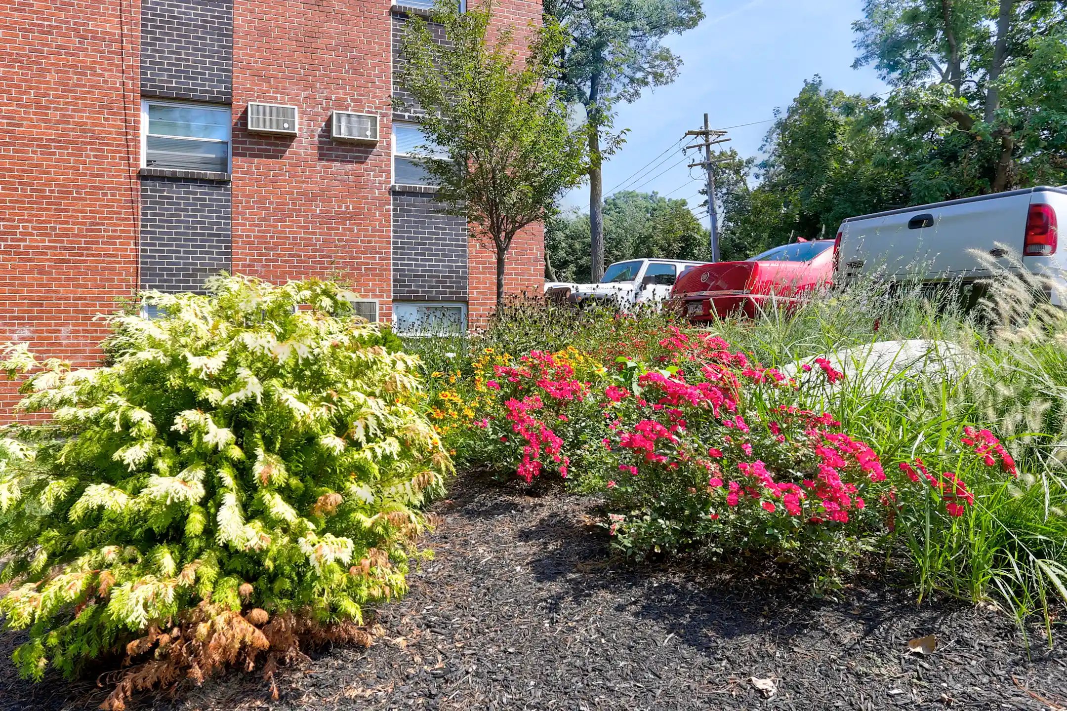 Building - The Crossings at Elmwood - Woodlyn, PA