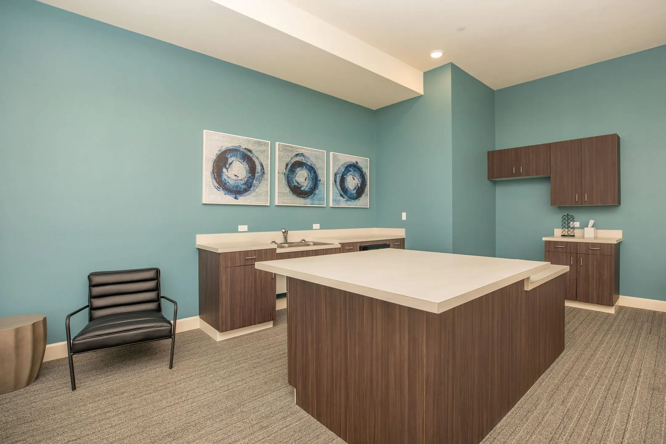 The Elysian 1120 Spanish Town Rd Baton Rouge, LA Apartments for