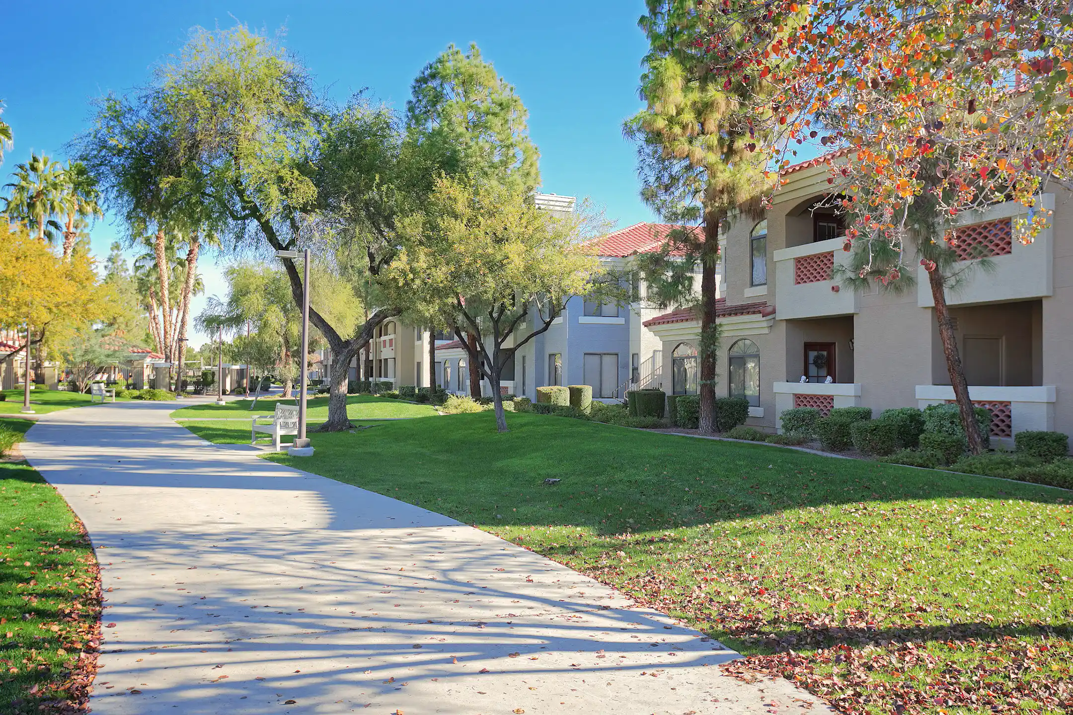 Building - San Melia Apartment Homes - Phoenix, AZ
